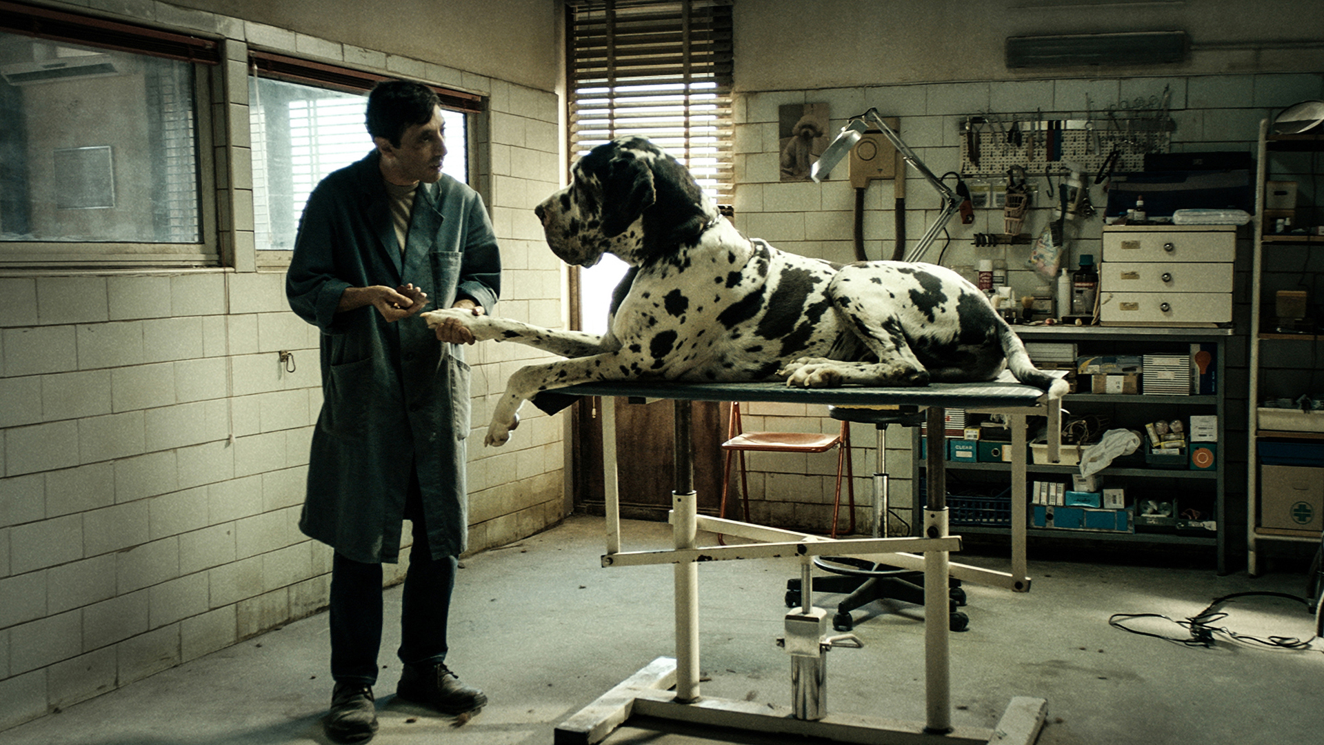 Trailer still frame from Dogman, veterinarian treating dog