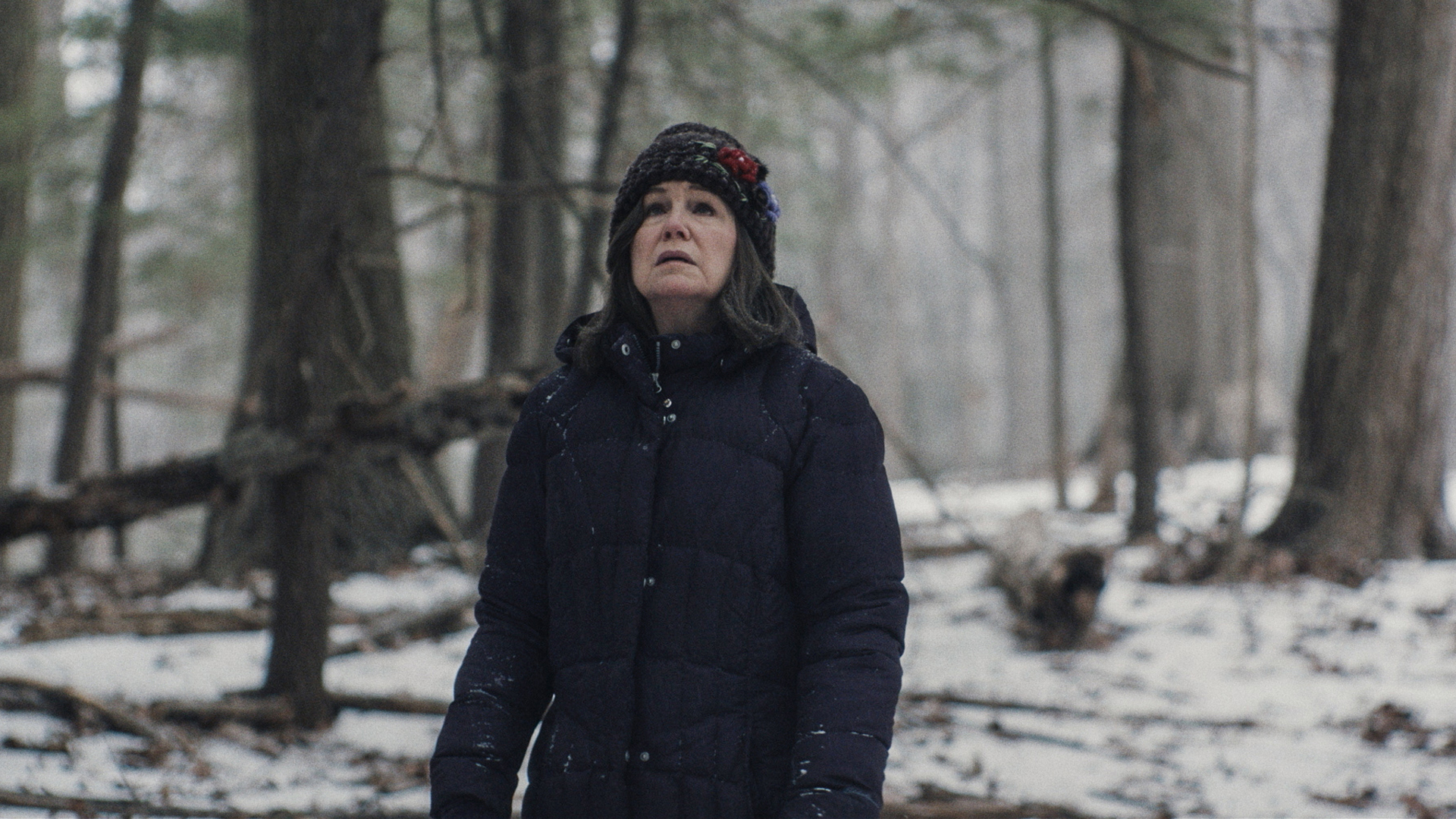 Trailer still frame from Diane, woman in snowy woods