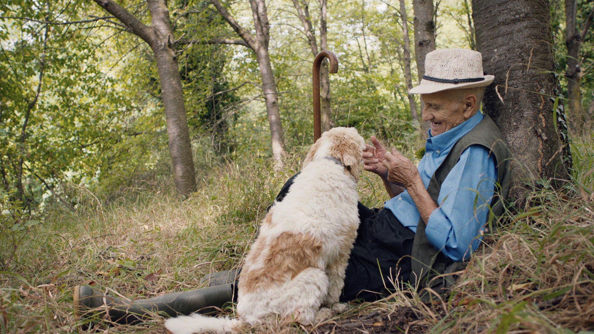 Trailer still frame from The Trufflehunters, old man sitting with dog in woods
