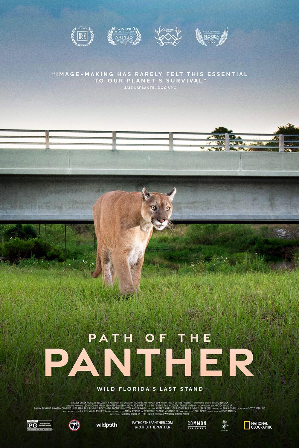 Movie poster for Path of the Panther, panther walking in grass