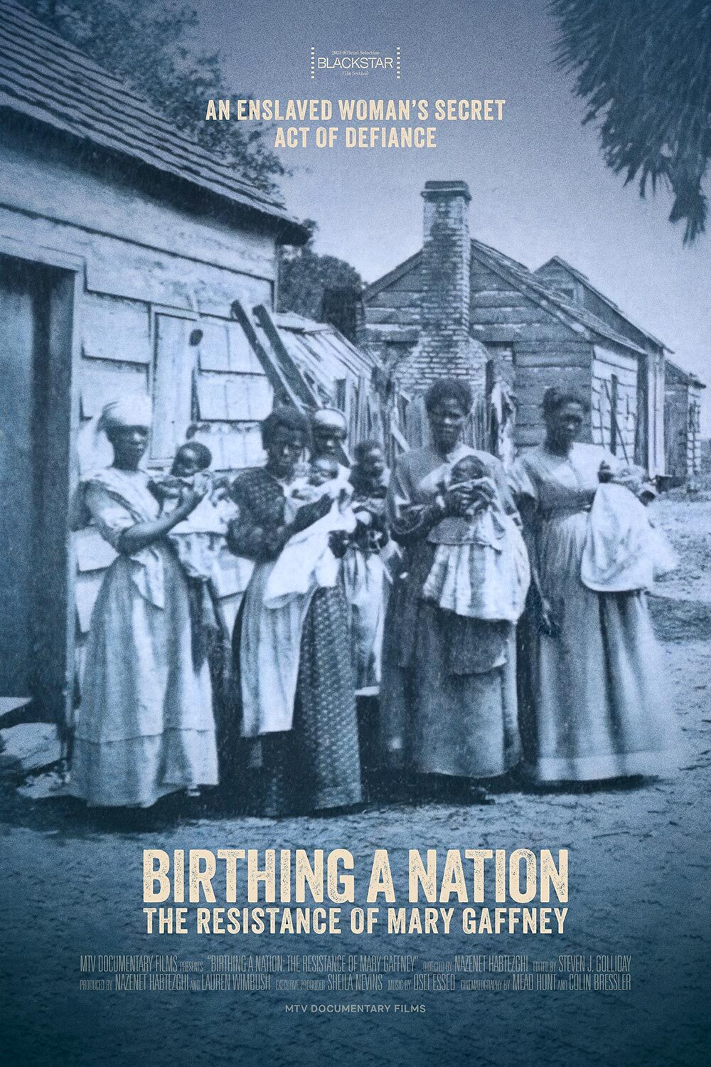 Birthing a Nation : The Resistance of Mary Gaffney